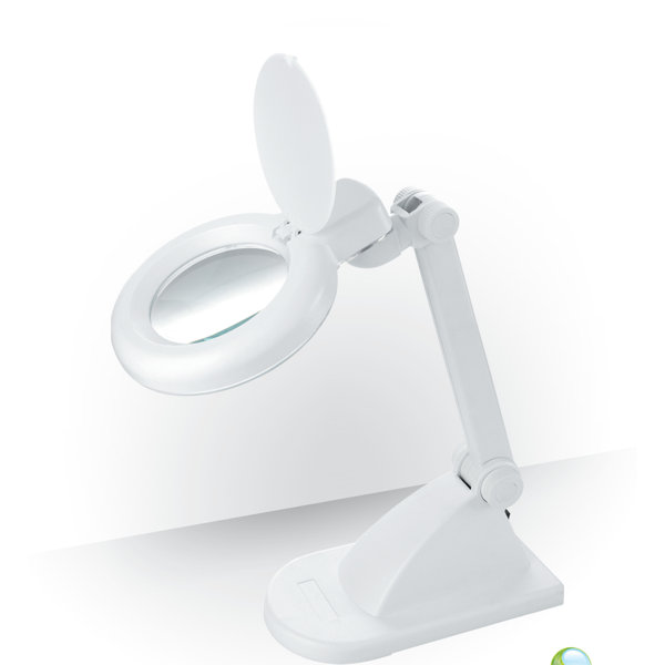 Daylight Company Naturalight 14" Desk Lamp & Reviews Wayfair